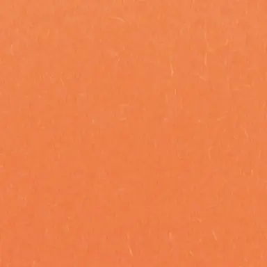 Profile image of 덕개