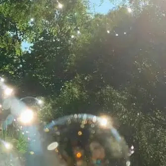 Profile image of 공룡