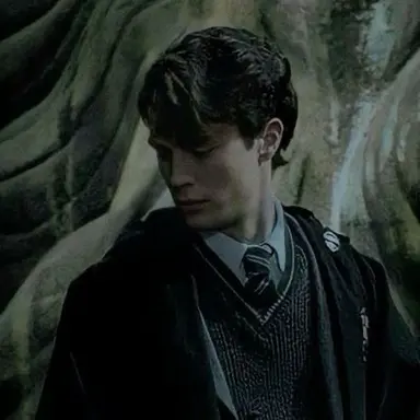 Profile image of Tom riddle