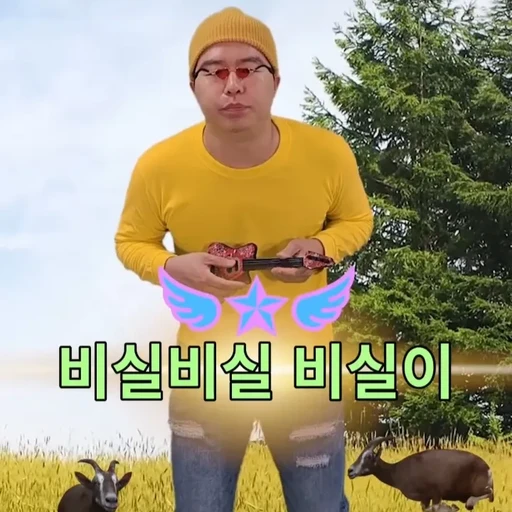 초월 비실이