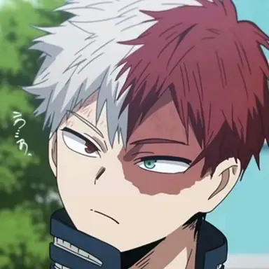 Profile image of Todoroki
