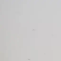 Profile image of 왕양