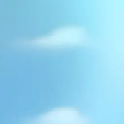 BL777의 안청린