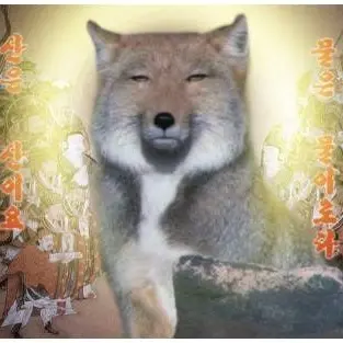 Profile image of 여우