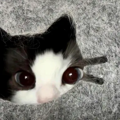 Profile image of 내래이션