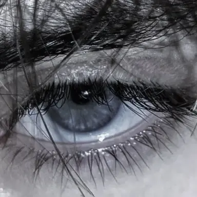 Profile image of Alex