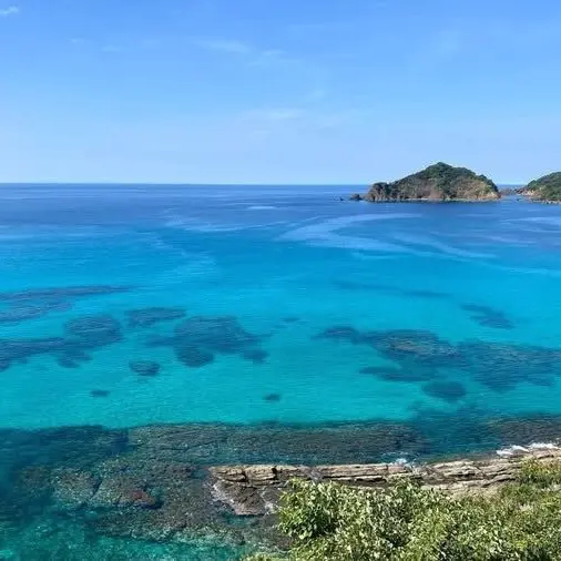 DoughyBass7847의 straykids