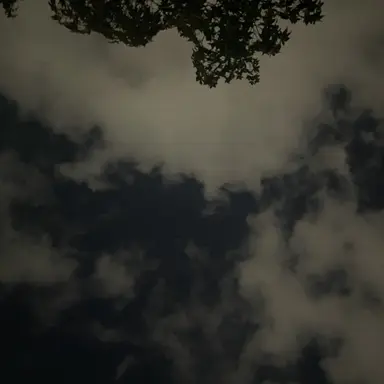 Profile image of 정백현