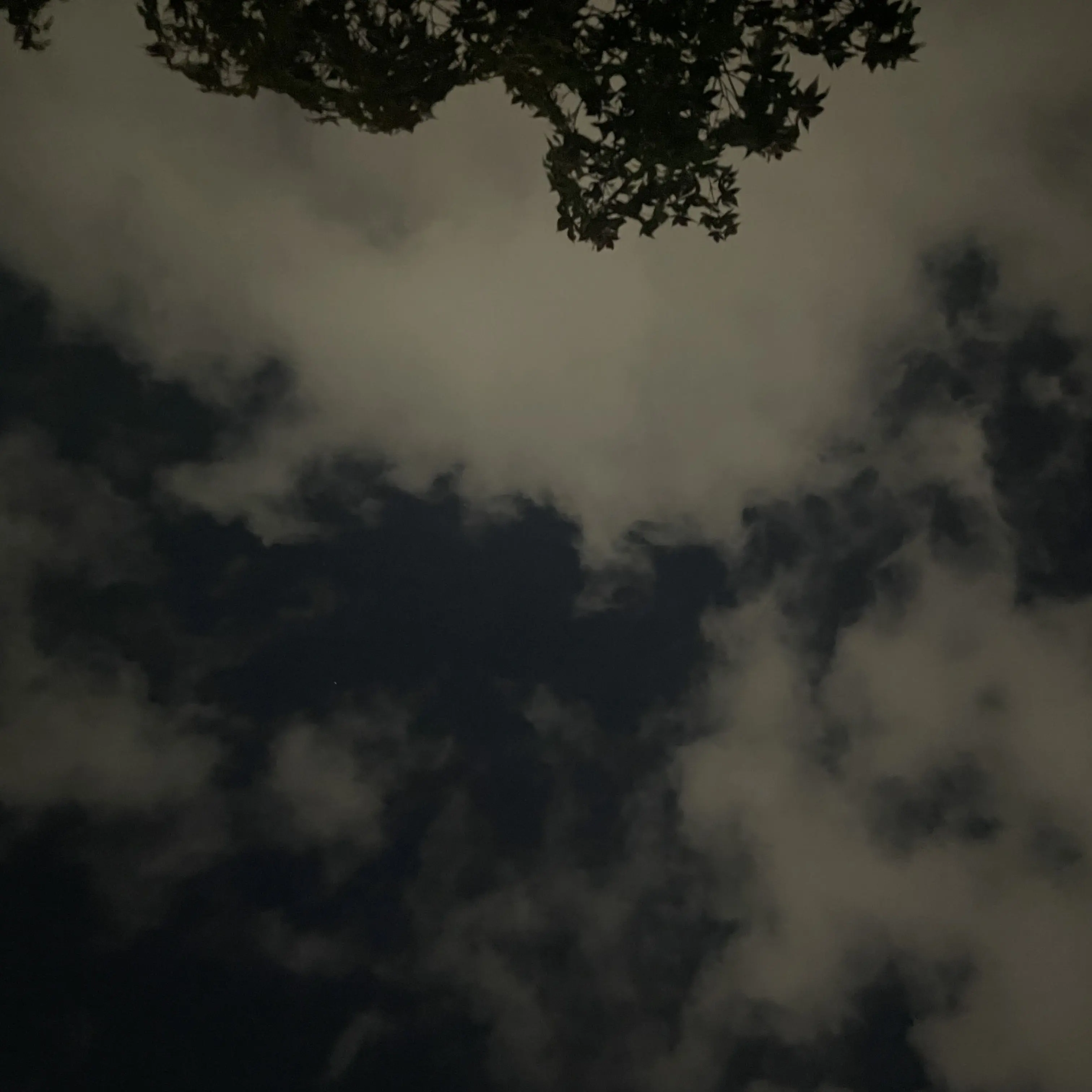 919197의 고고프렌즈 학교 청춘물