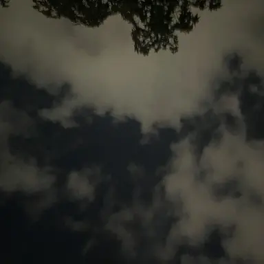 Profile image of 정아름