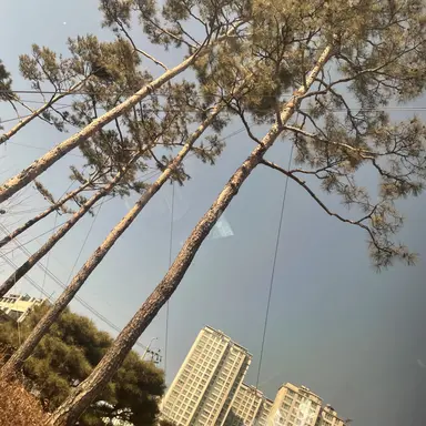 Profile image of 모양몬