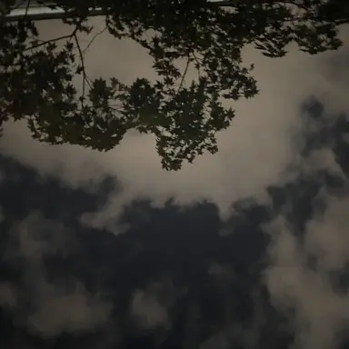 Profile image of 모찌엘