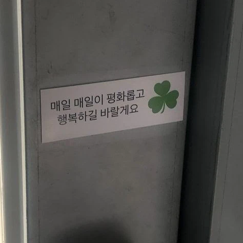 최설아