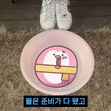 Profile image of 또니