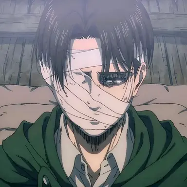 Profile image of LEVI ACKERMAN