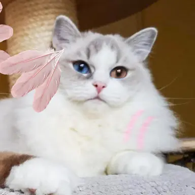 Profile image of 류크
