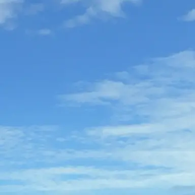 Profile image of Reason
