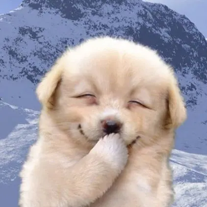 teeth의 귀여운개죽이