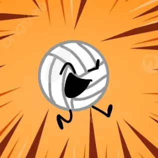 ERROROF의 volleyball(발리볼)