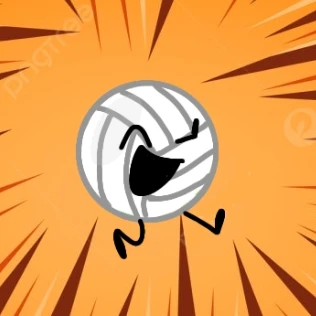 volleyball(발리볼)