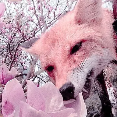 Profile image of 밥풀