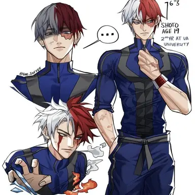 Profile image of Todoroki