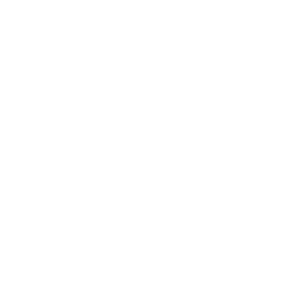 데뎨