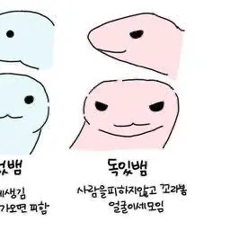 LEEEEEEEEEEEEEEEEEEEEEE의 난 너 책임 못 져…