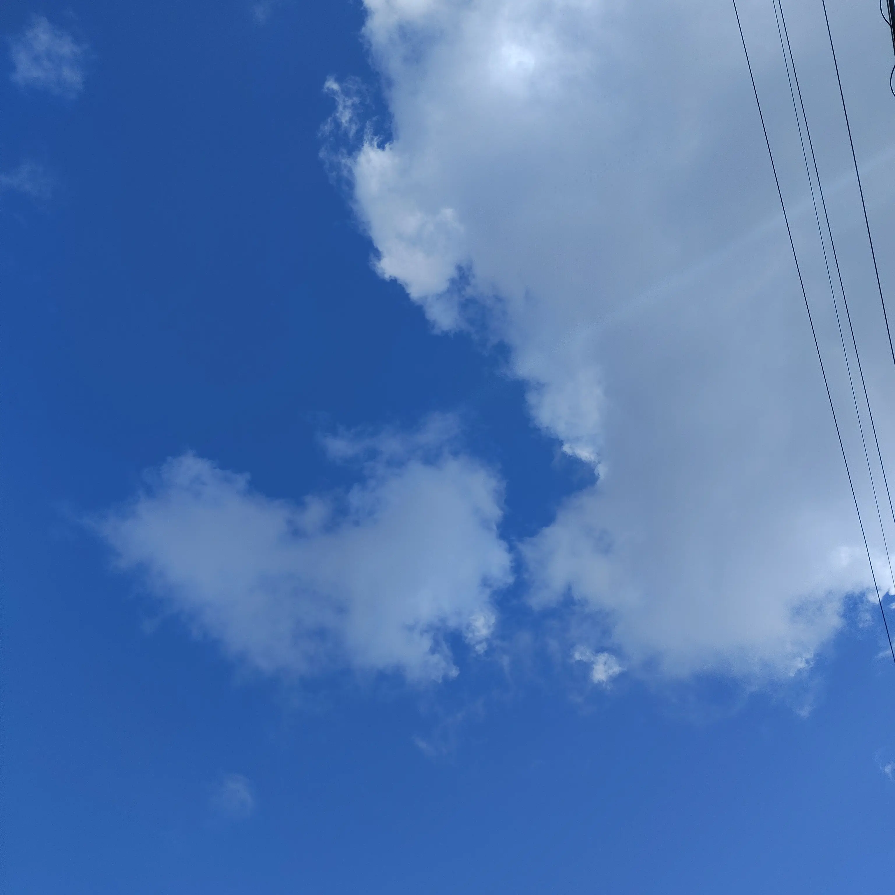 32524112의 みんなに伝えたいことがあります