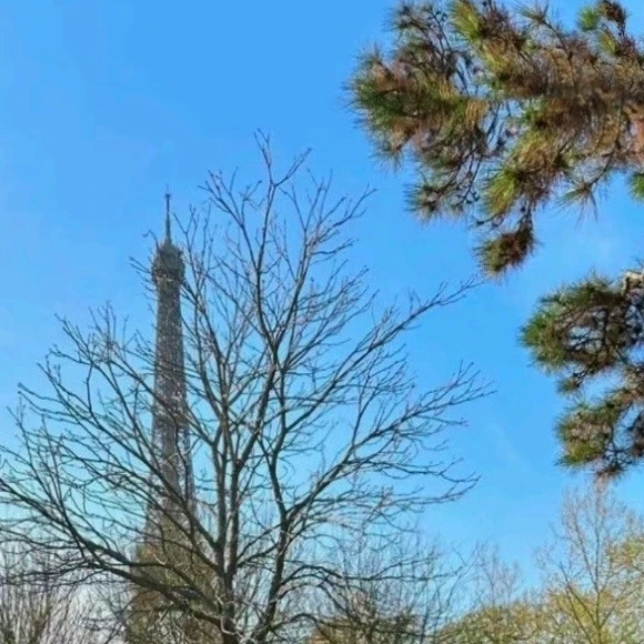 한지성