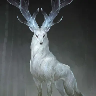 Profile image of ハク