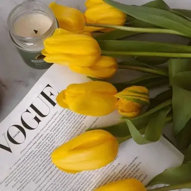 Profile image of 쪼만