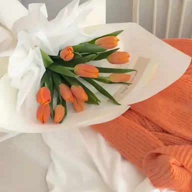 Profile image of 코마