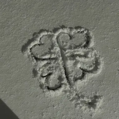 Profile image of 시미베