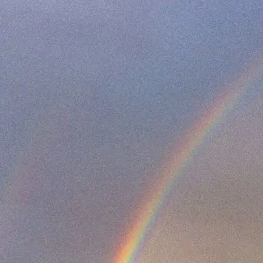 Profile image of 패러다이스