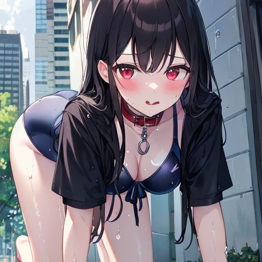 あや