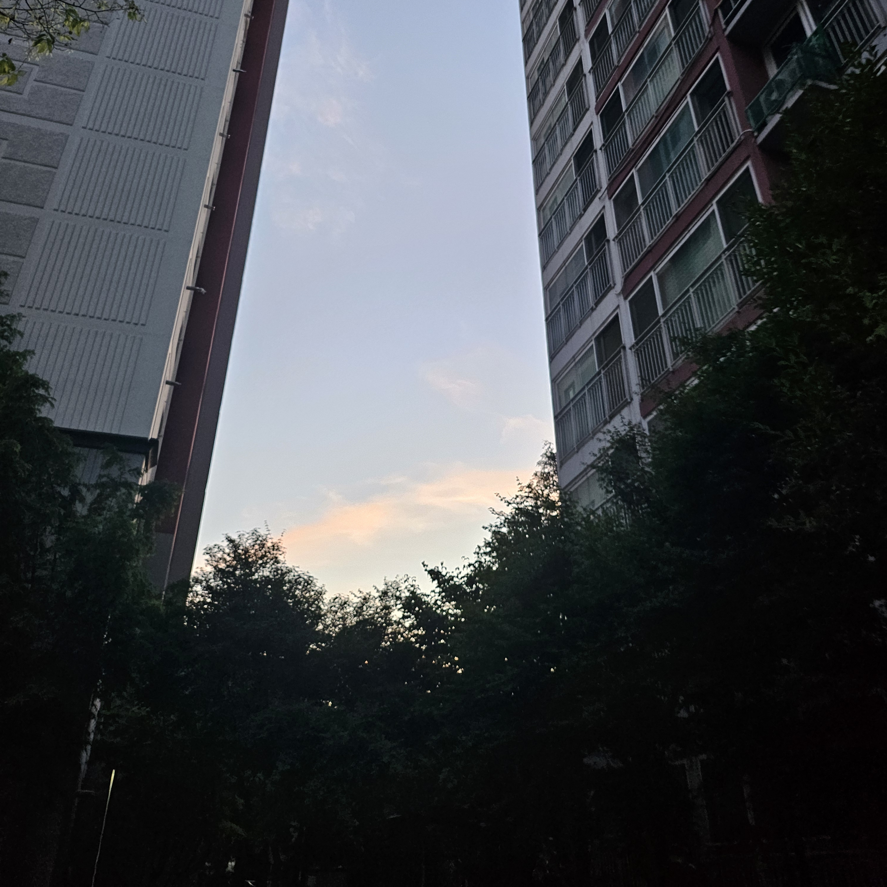 꿈의악마 탐정 대표 이미지