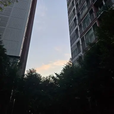 Profile image of 텔러