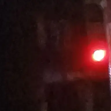 Profile image of 차라