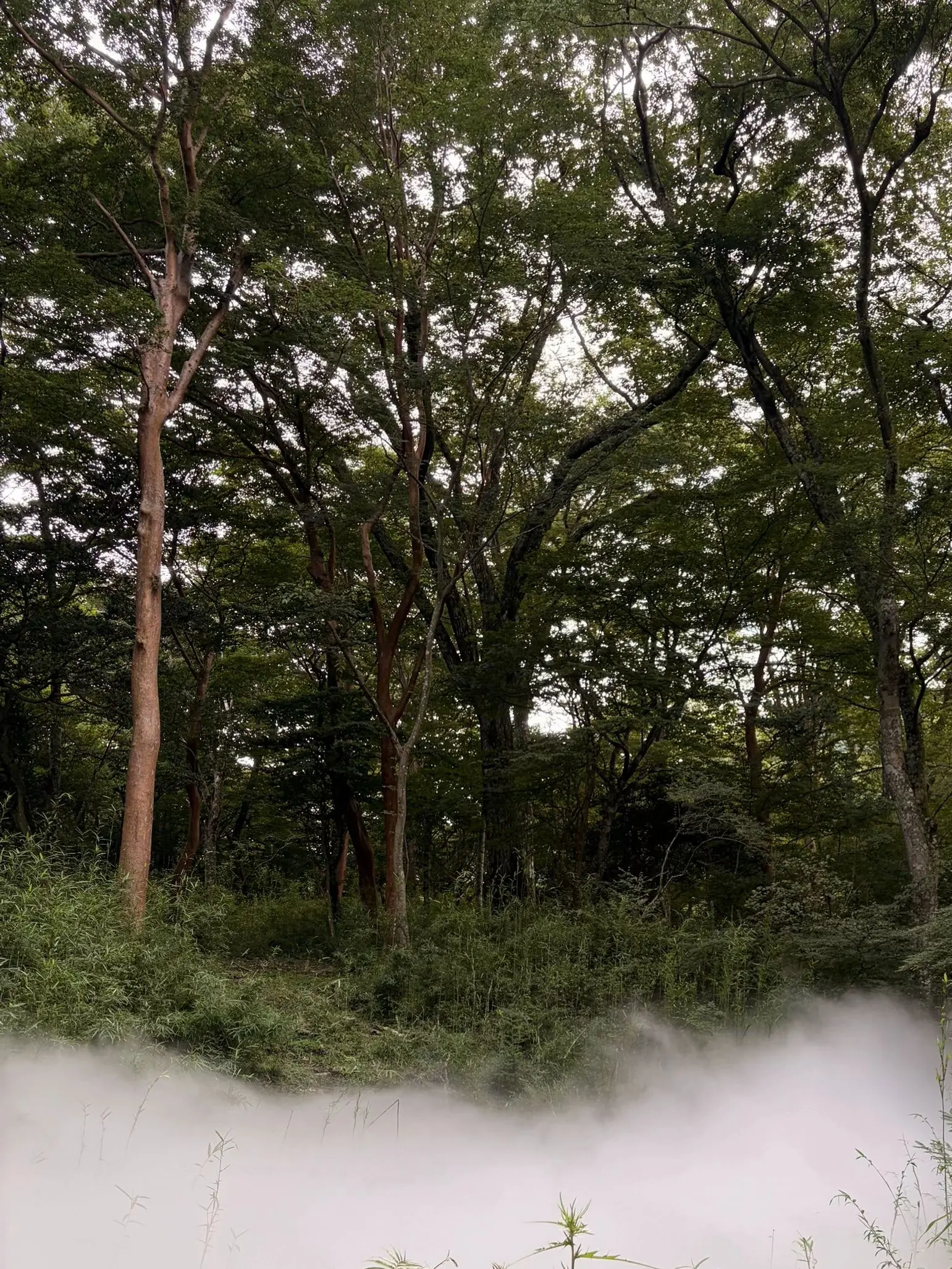 youso4545의 Tori Matsuzaka