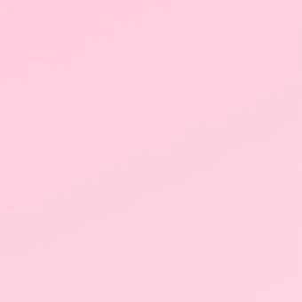 후지나가 사쿠야