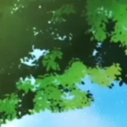 Profile image of すち