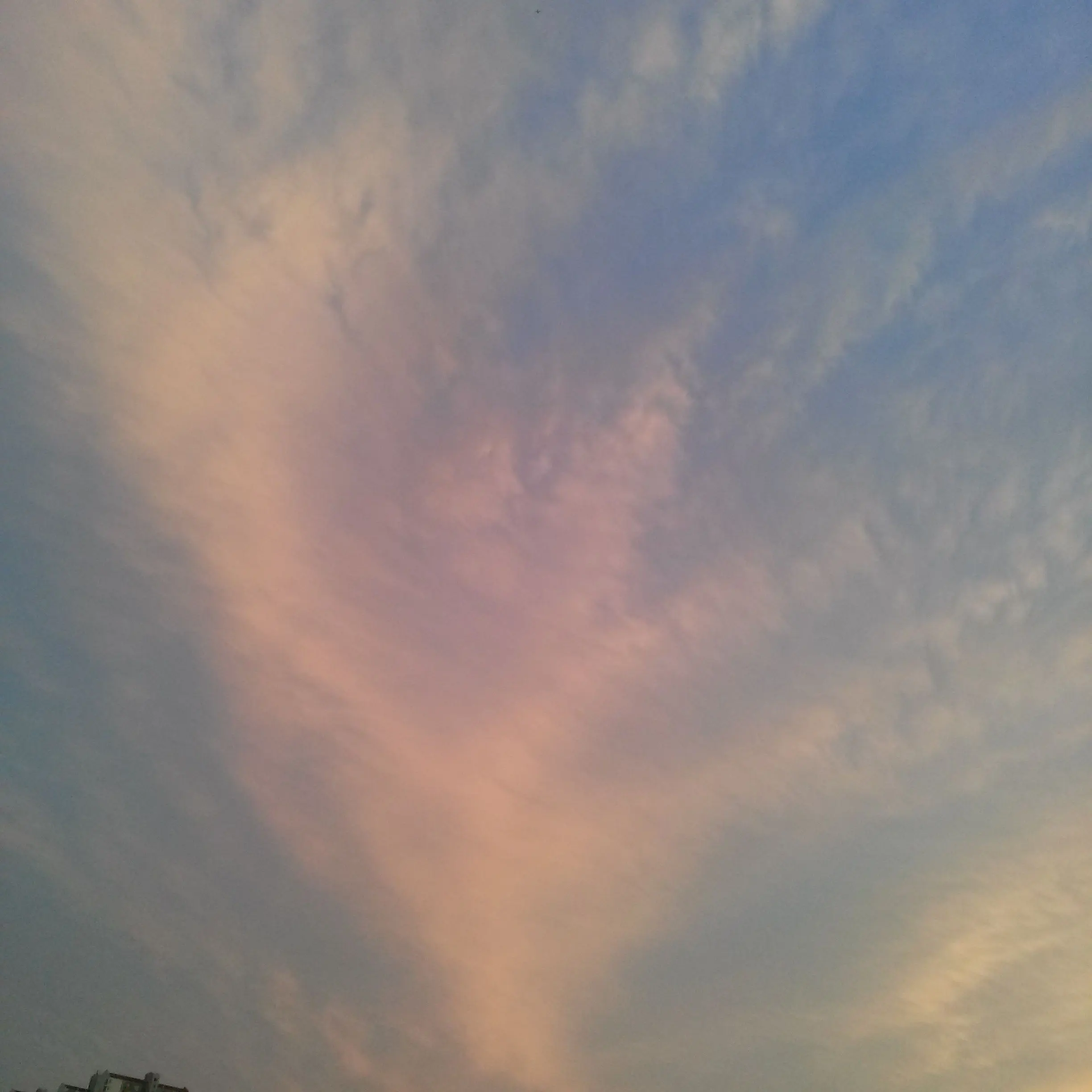 InlandTray7175의 연하 외항사 남자 승무원