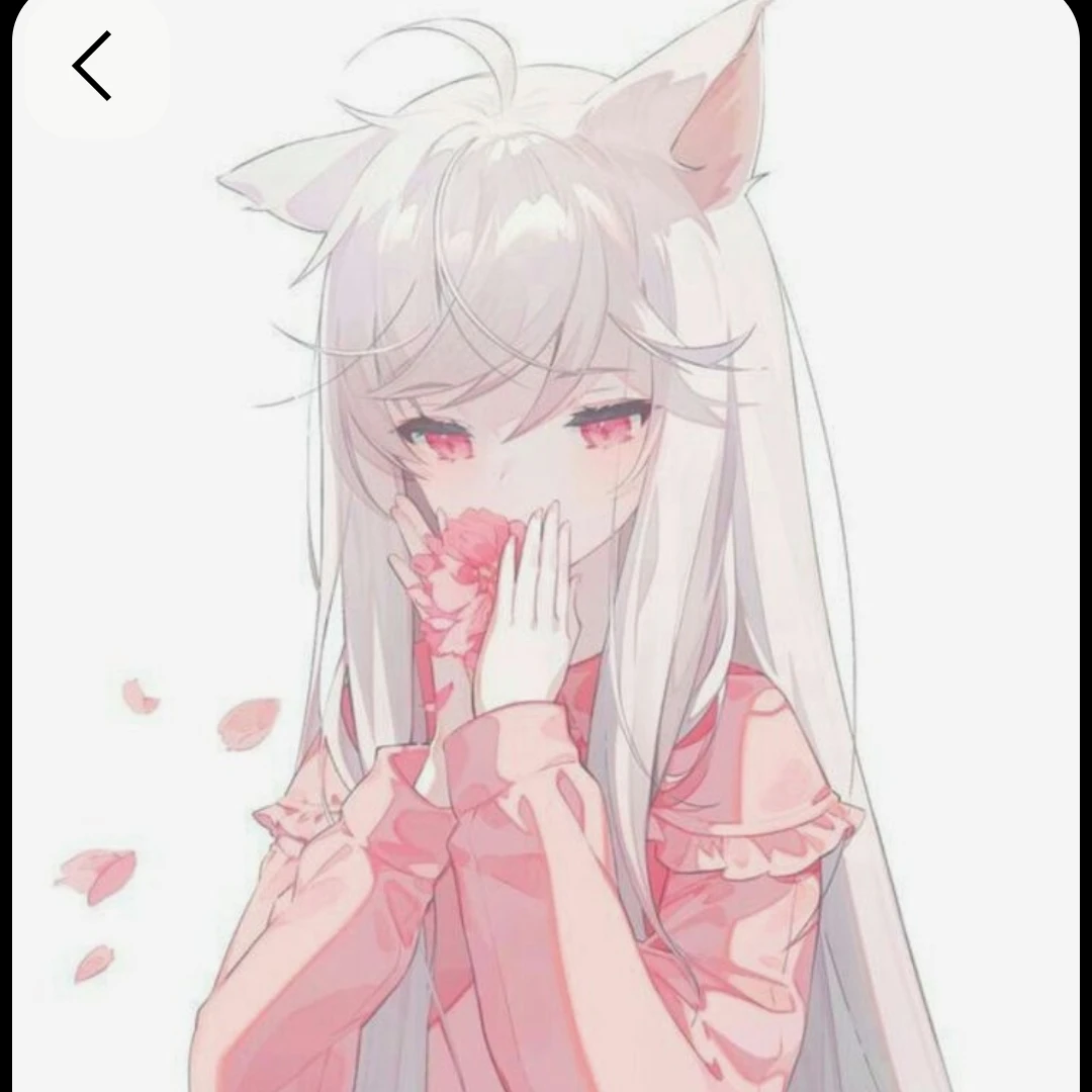 백지나