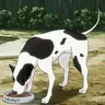 Profile image of Danny