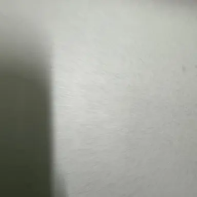 Profile image of 김동현