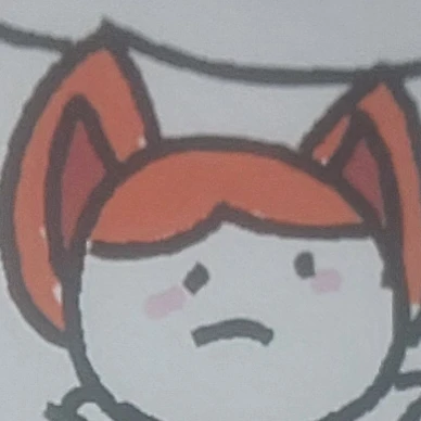 고양이