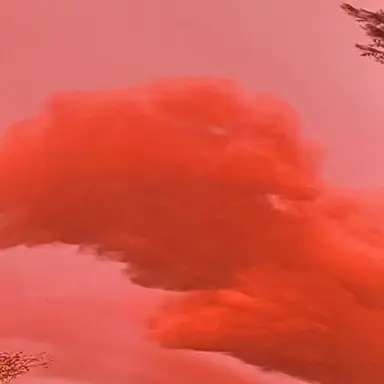 Profile image of 미수반