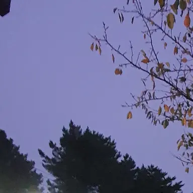 Profile image of 수현