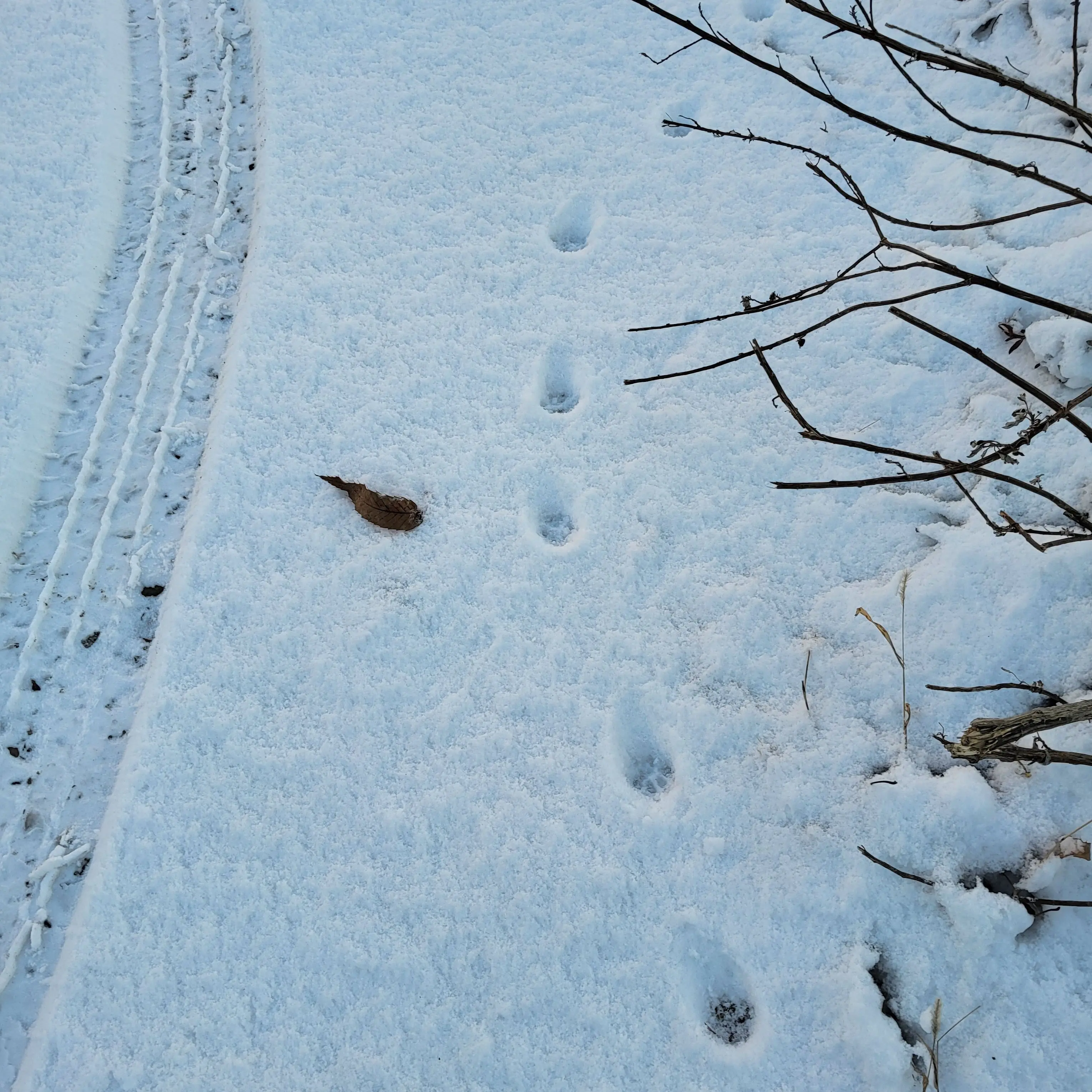 GlassBlade2306의 권숝영